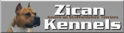 zicanlog.jpg