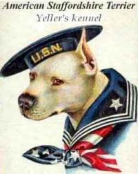amstaff-me-usn-hat.jpg