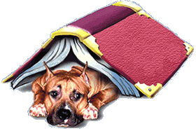 amstaff_under_bok.gif